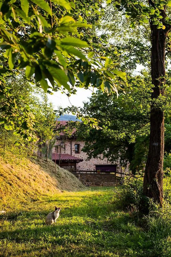 Appartement Gorosarri à Escoriaza